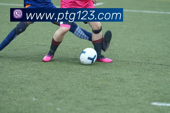 海南精英赛次轮战报丁文一周彦含并列T6宁泽涛率队斩获团体亚军